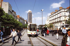 Miniatura