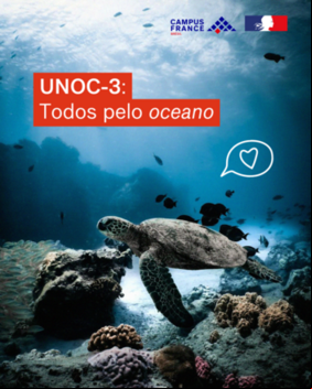 unoc 3